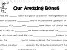The skeletal system