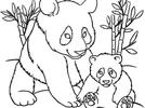 Dibujos a trazo de osos panda