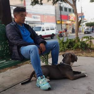 Raul Cortes
