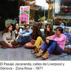 Docente T.A.L Arvizu