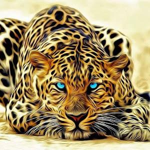 Lobo De