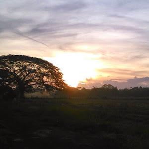 Imelda Fernandez