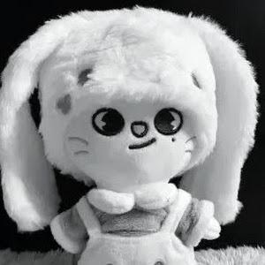 Stich Nati