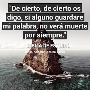 Adelfo Navarro