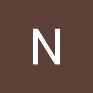 NANCY S.L