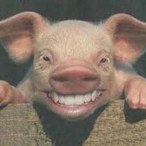 Julio Cesar Enriquez