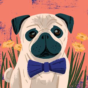 Profr. Marcelino Hernandez