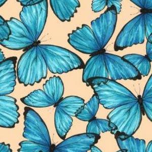 Claudia Angelica Rodriguez