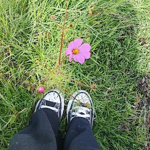 Alejandra Hernández