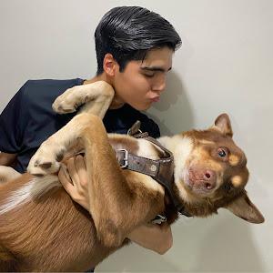 Camacho Valenzuela Carlos