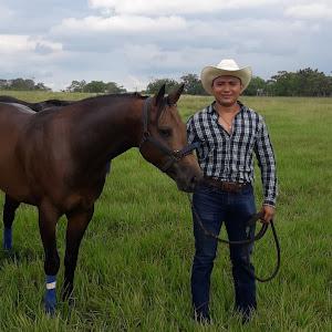 Hector Mex