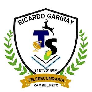 RICARDO GARIBAY