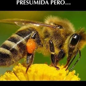 Ma. Liodegaria Cruz