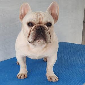 Leonel Aguirre